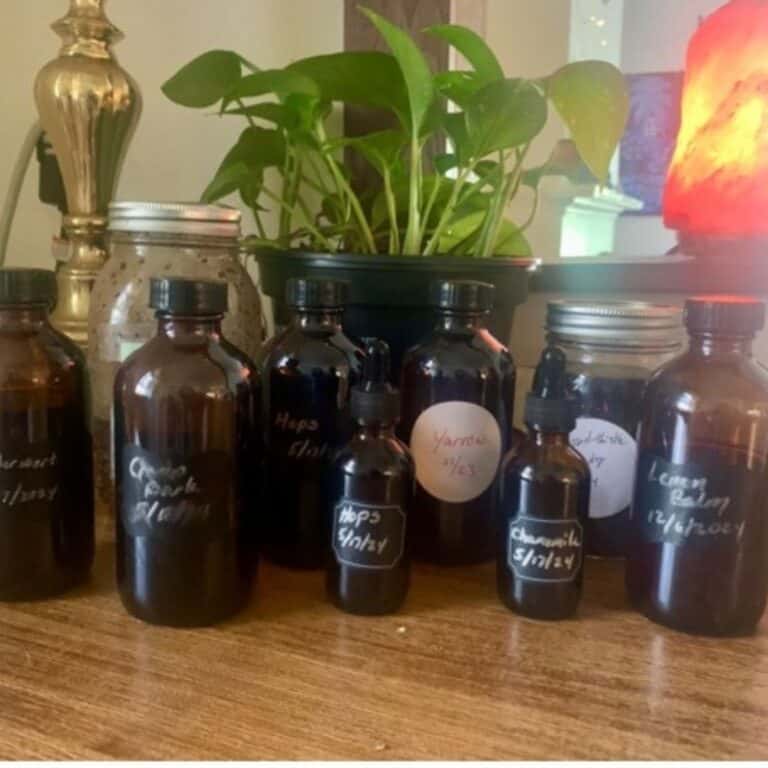 herbs for pregnancy in tincture bottles on wooden table